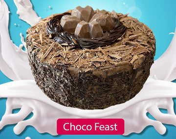 Choco Feast Ic Cake