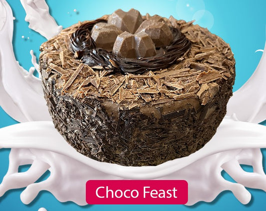 Choco Feast Ic Cake